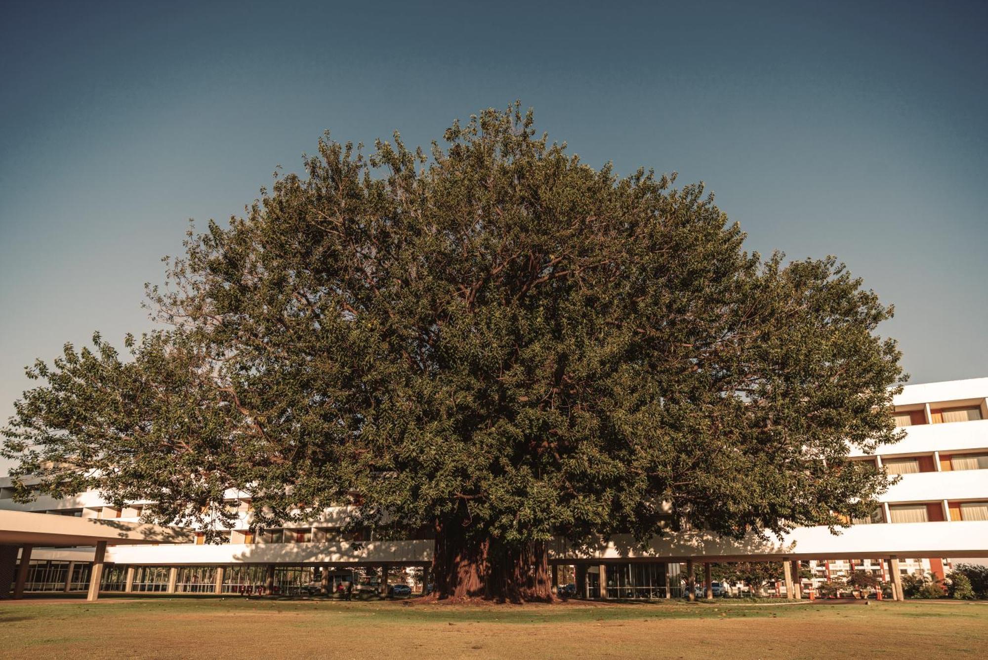 Brasilia Palace Hotel Ngoại thất bức ảnh
